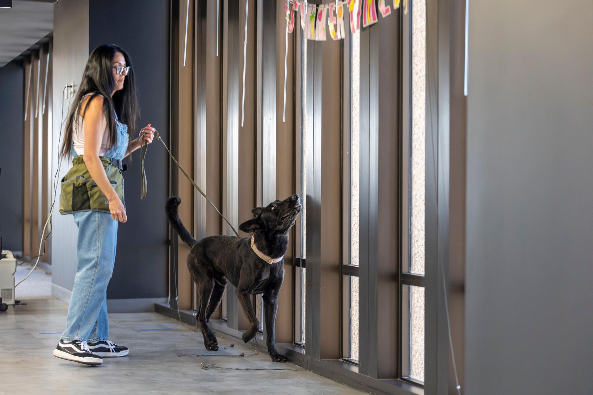 Person with a dog standing by tall windows in a bright indoor hallway