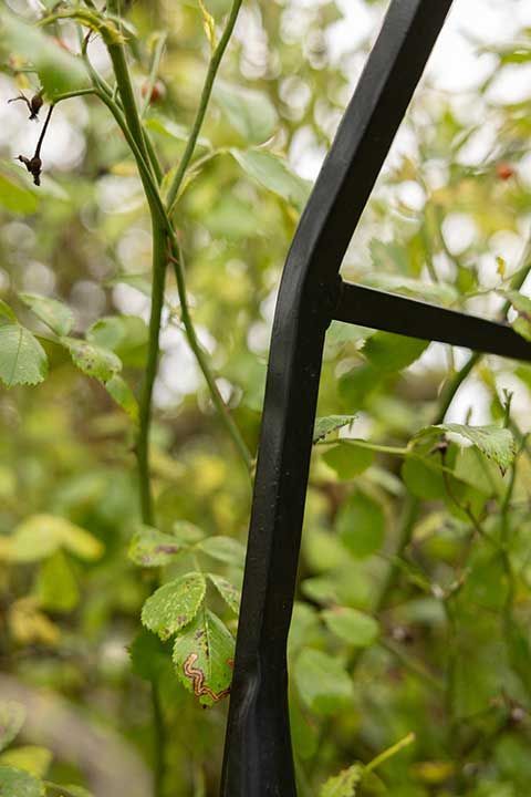 metal frame 6