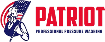 Patriot Professional Pressure Washing logo with a man holding an american flag