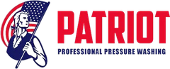 Patriot Professional Pressure Washing logo with a man holding an american flag