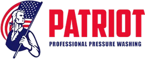Patriot Professional Pressure Washing logo with a man holding an american flag