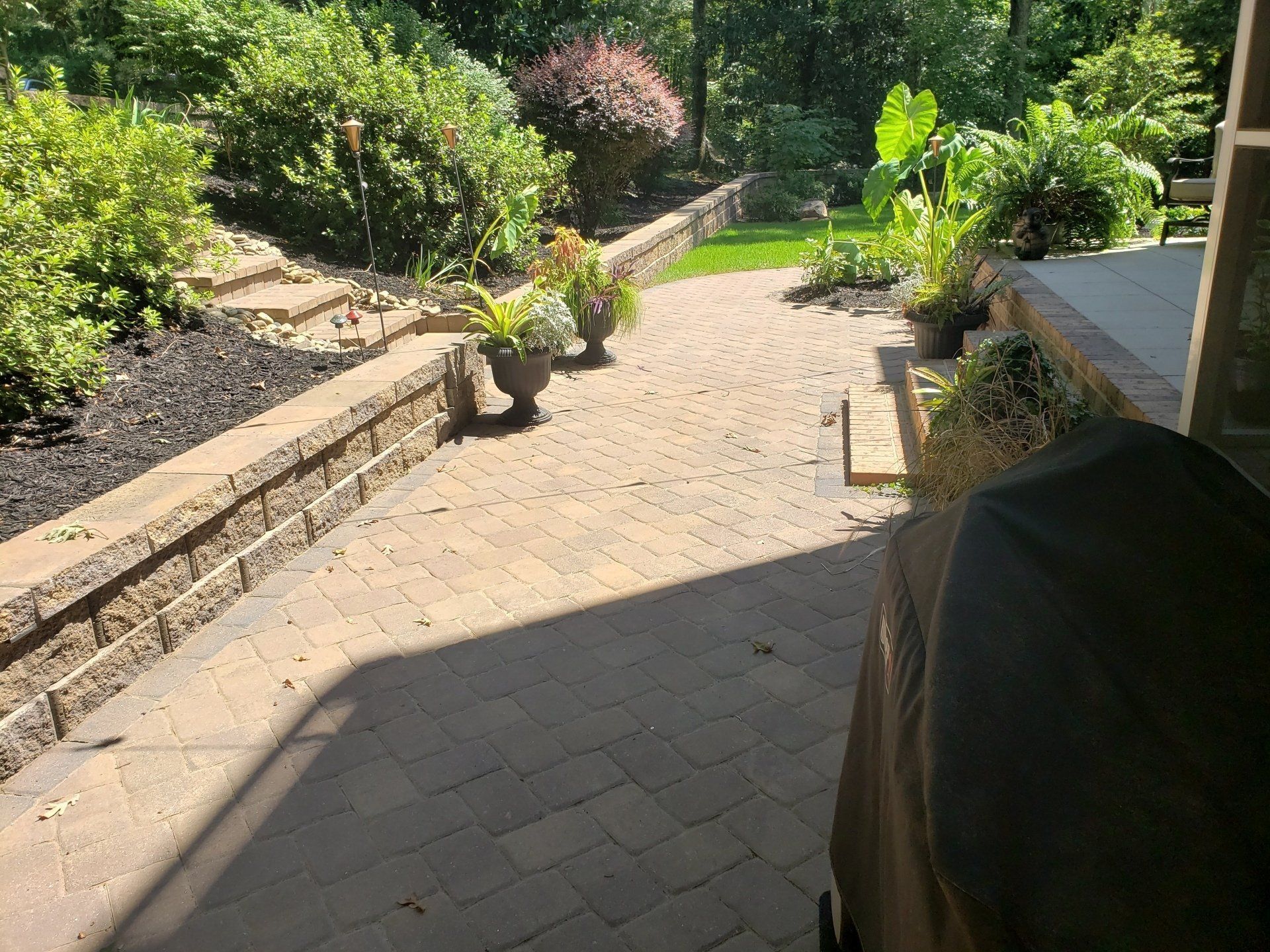 A brick walkway with potted plants along the side of it