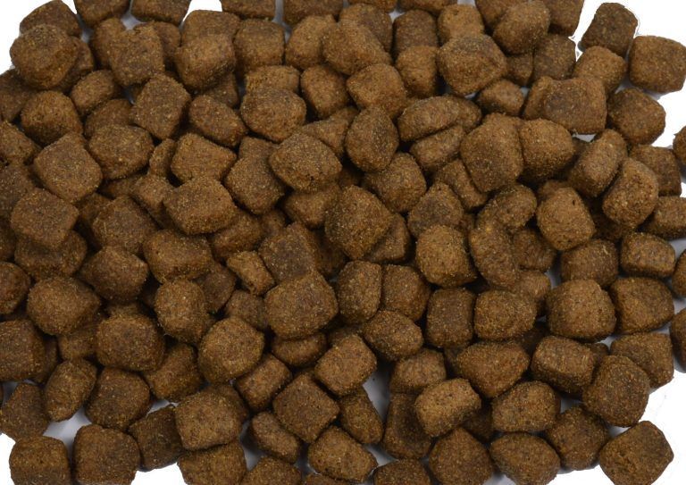 Merkloos lam rijst krokante brok 10 kg