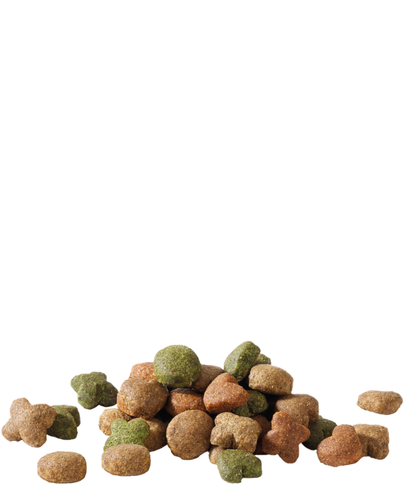 Happy Life Adult mini met Lam 2,5 kg