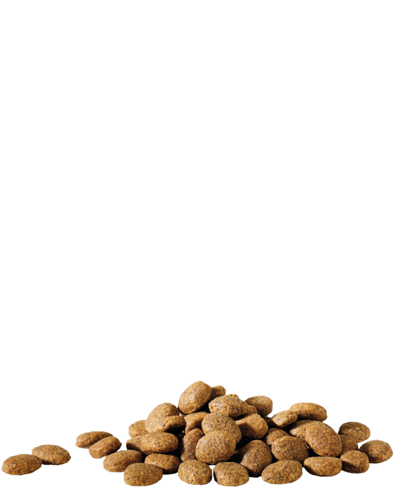 Happy Life Adult Essential 20 kg