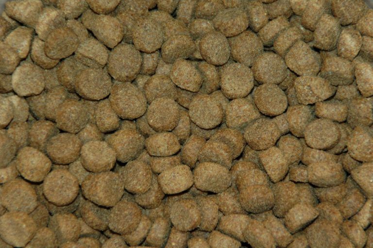 Merkloos krokante brok 15 kg