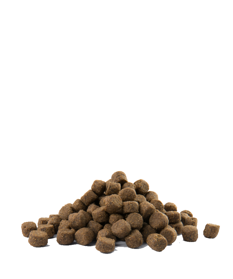 Opti Life Prime Adult Chicken 12,5 kg