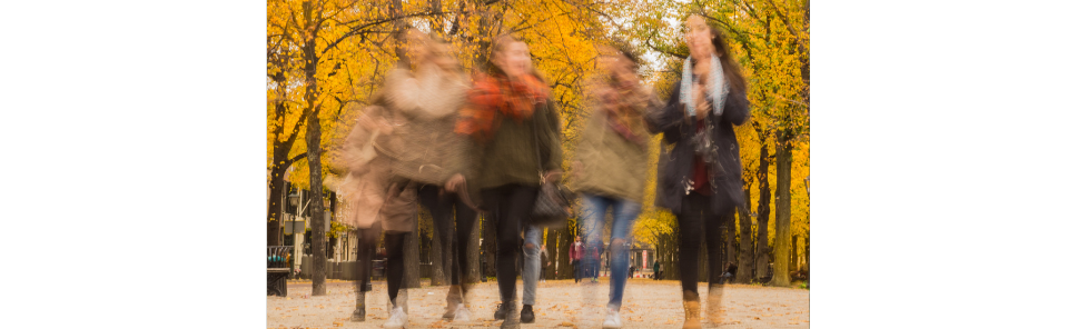 Why are my pictures blurry? | The Camera Company