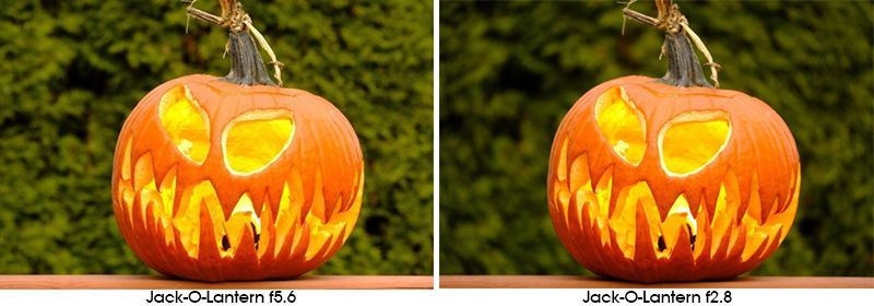 The pictures below were shot with an 80mm lens.