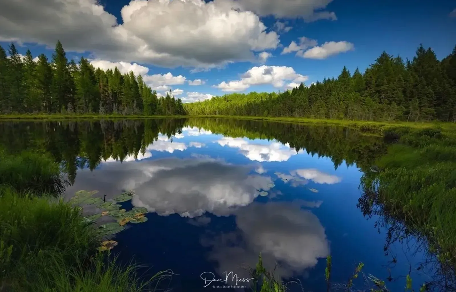Lake Superior Summer