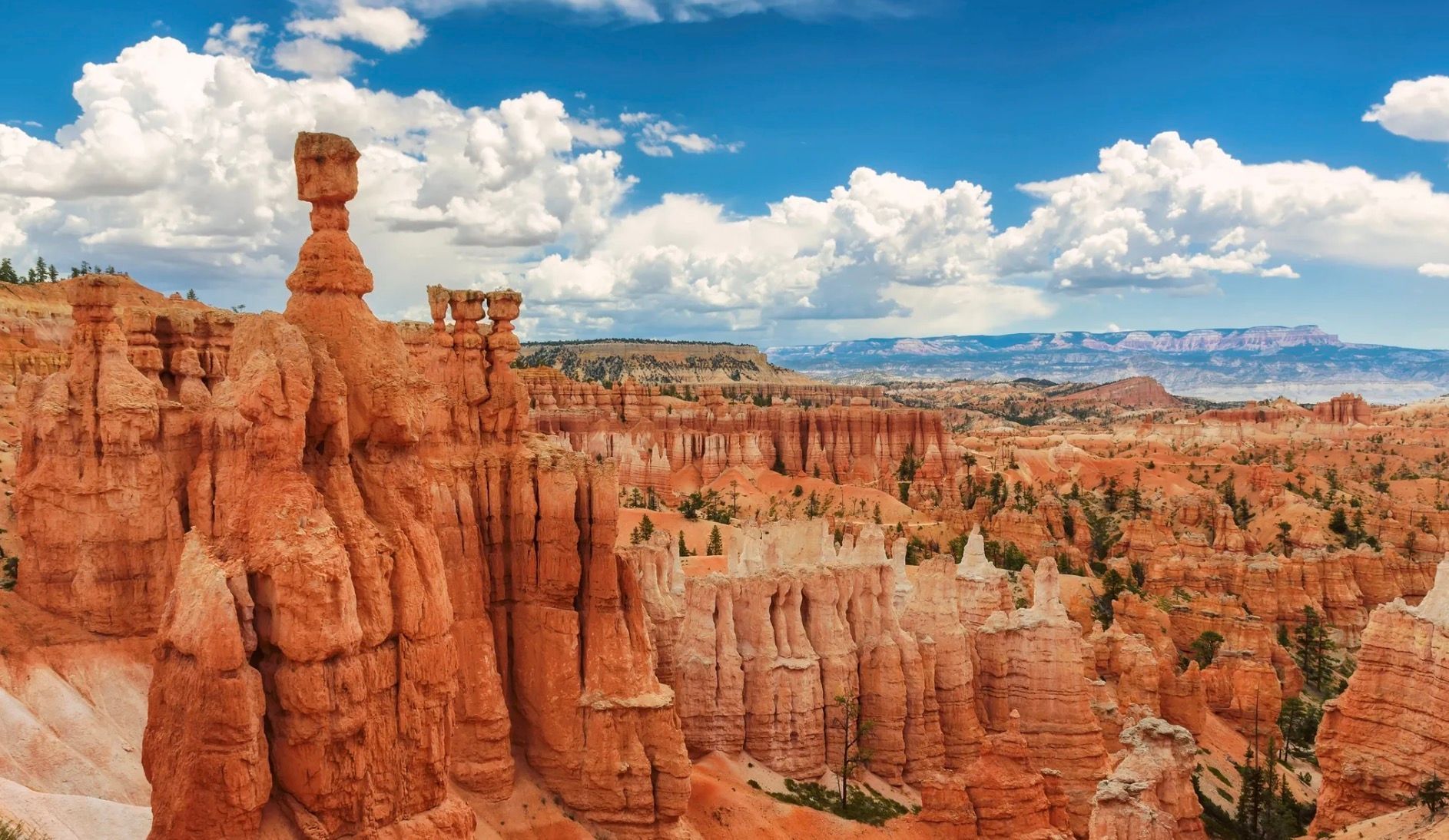 Utah and Nevada Spring image