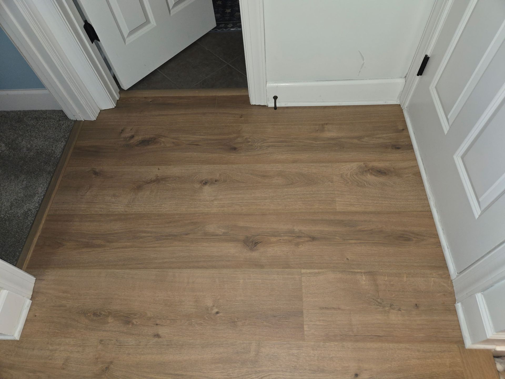 Wood-look flooring in a hallway with white doors and trim.