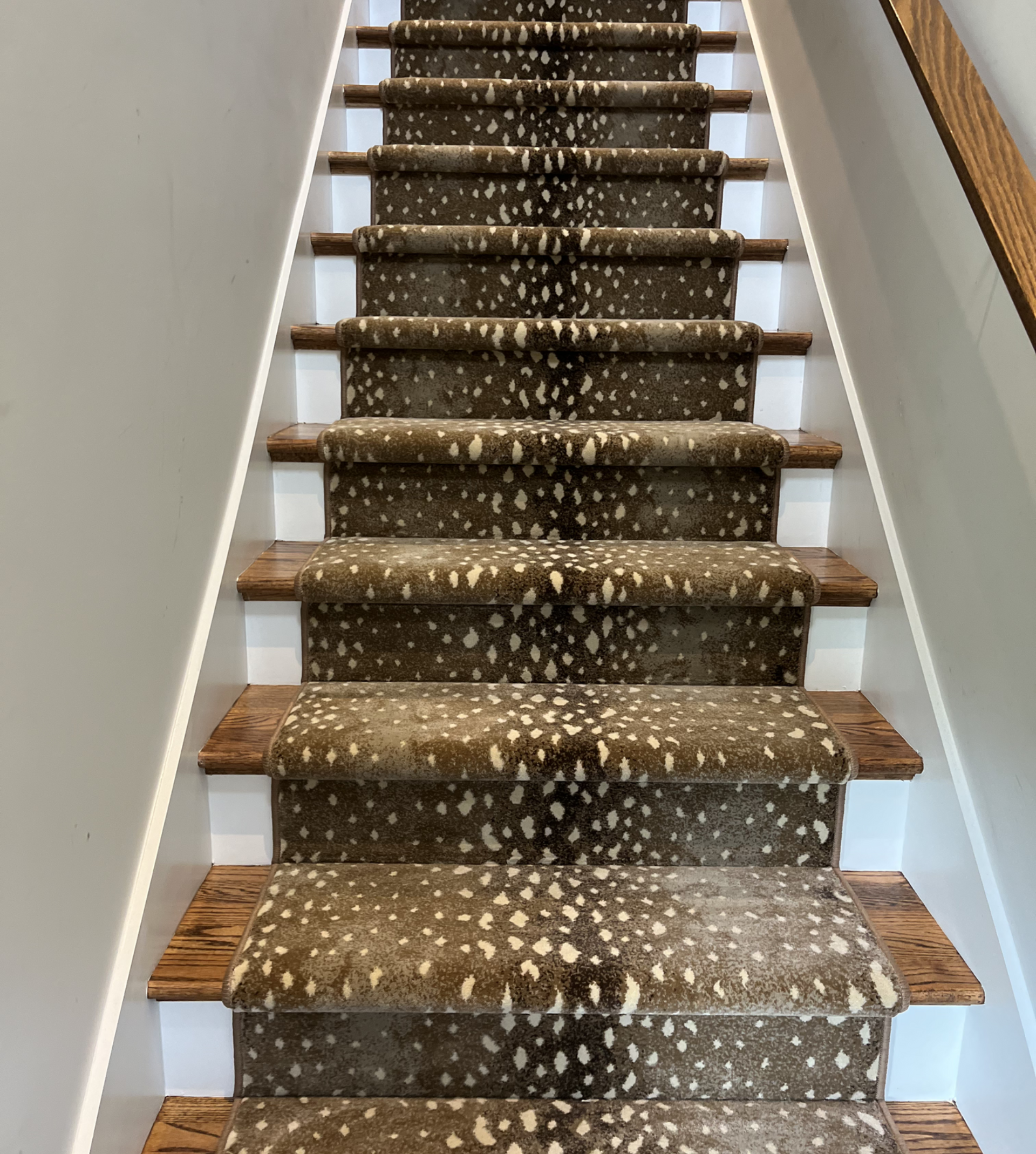 Carpeted staircase with patterned runner and white walls