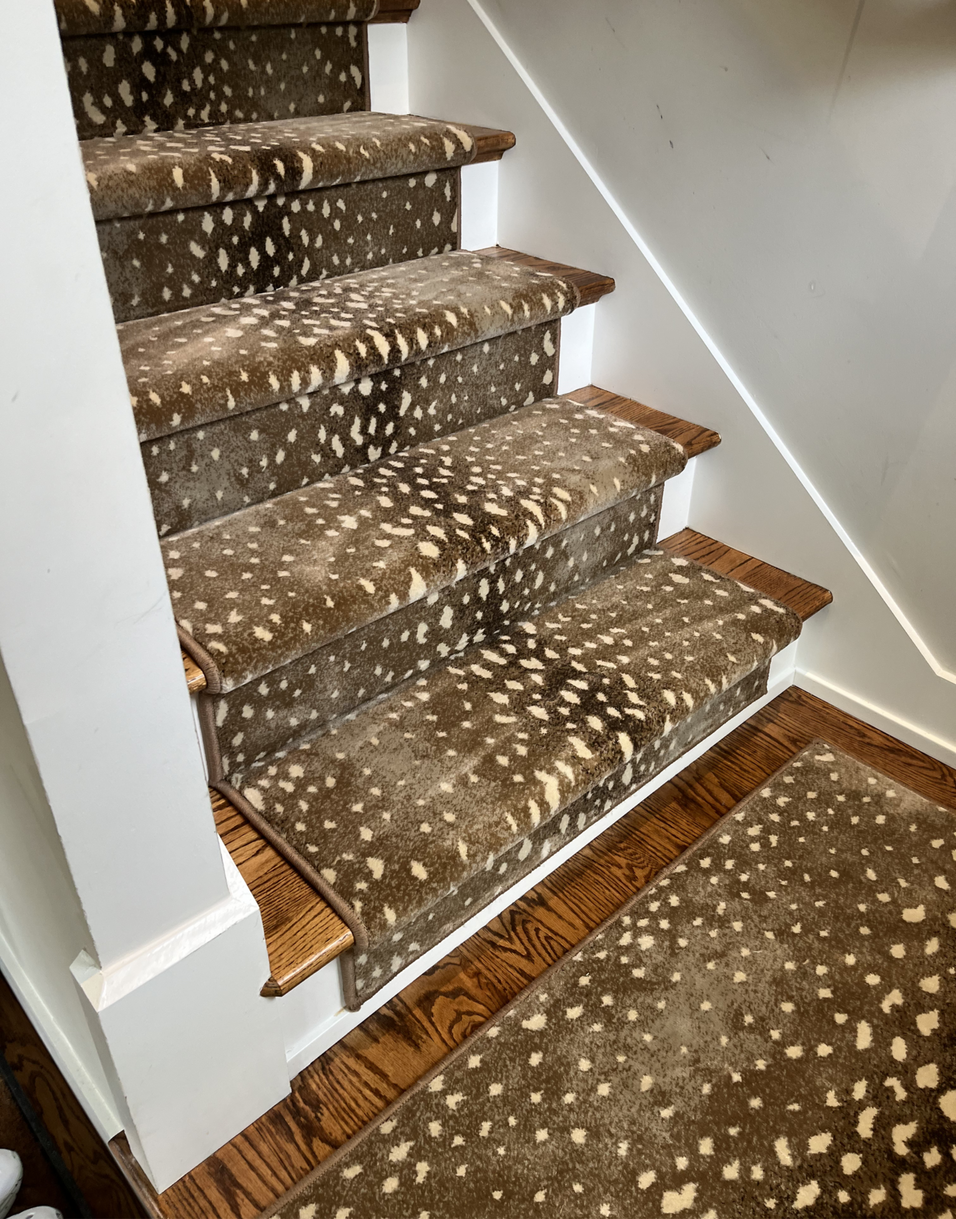 Carpeted staircase with patterned runner and white walls, viewed from the bottom landing