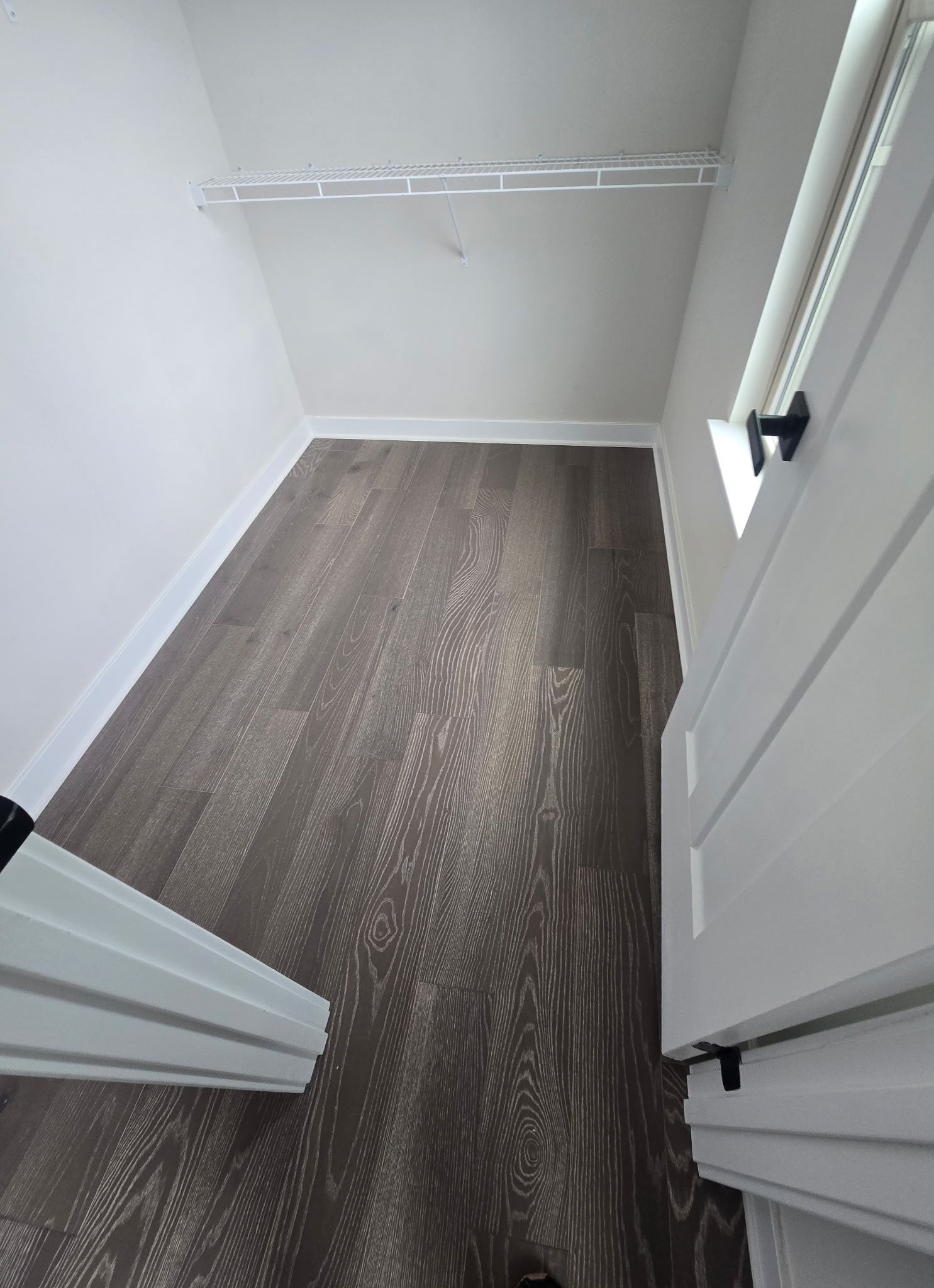 Small empty closet with gray carpet, white walls, and open doors.