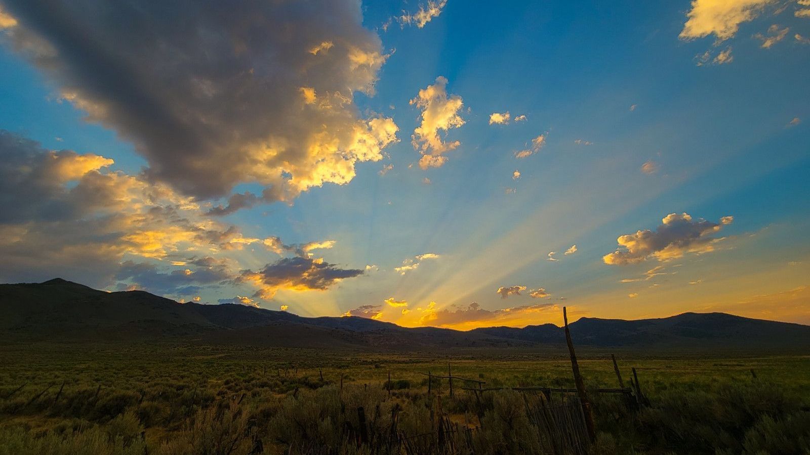 Sunset over mountain silhouettes and a grassy field, with golden clouds in a blue sky