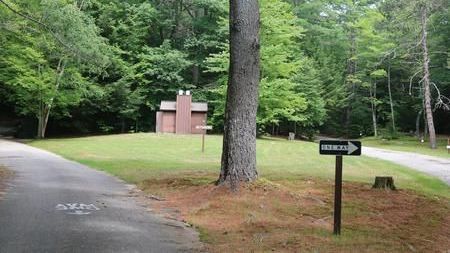 Wooded roadside with a small brown building and a black arrow sign near a paved path