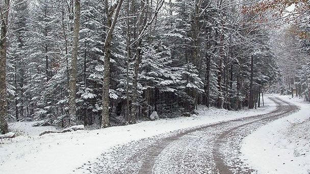 Snow-covered winding road through a winter forest with tall trees.