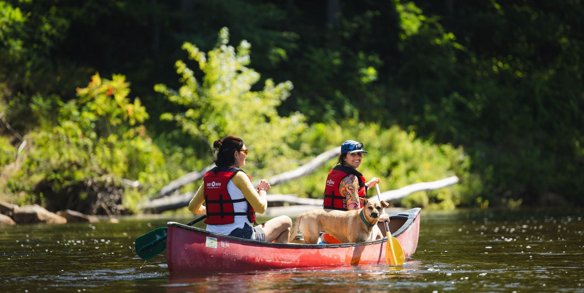 Two people paddling a canoe on a calm river, with trees lining the shore.