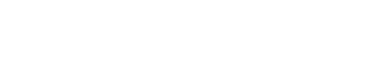 Empty white rectangle with a thin dark border at the top and bottom.