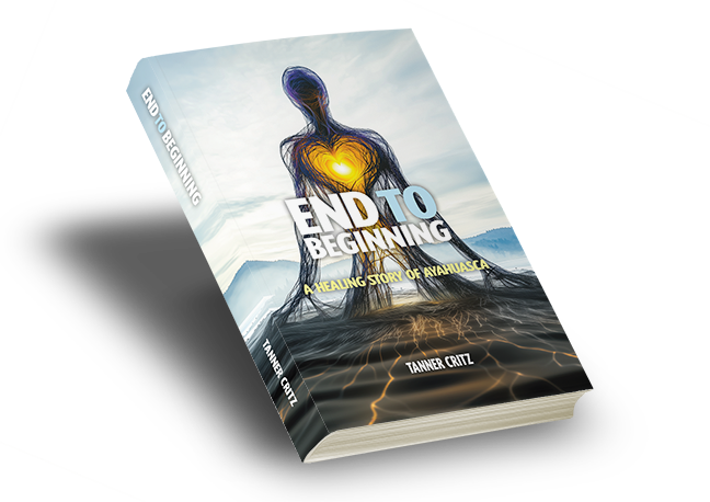 Book cover: 