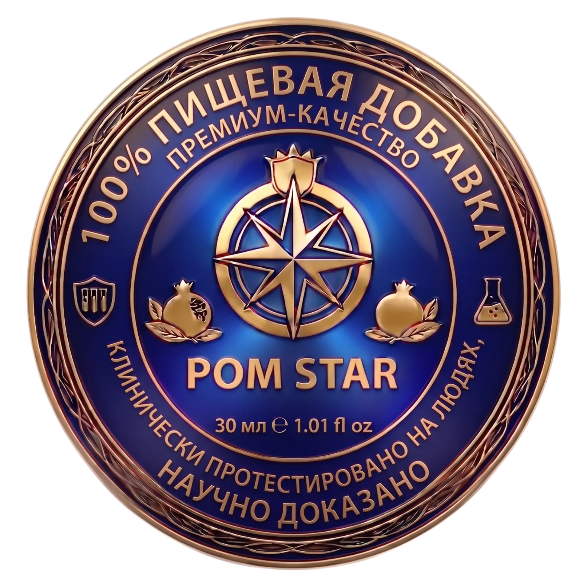 Μπλε και χρυσό κυκλικό έμβλημα του Rotary Club με τροχό πυξίδας και κείμενο «ROM STAR»