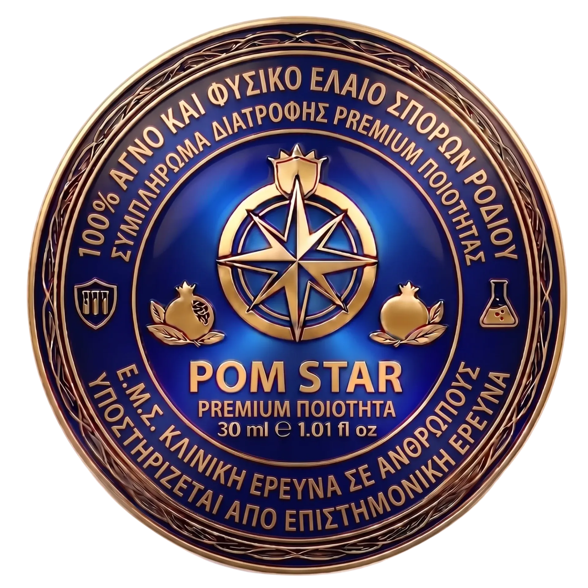 Μπλε και χρυσό κυκλικό έμβλημα του Rotary Club με τροχό πυξίδας και κείμενο «ROM STAR»