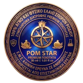 Μπλε και χρυσό κυκλικό έμβλημα του Rotary Club με τροχό πυξίδας και κείμενο «ROM STAR»