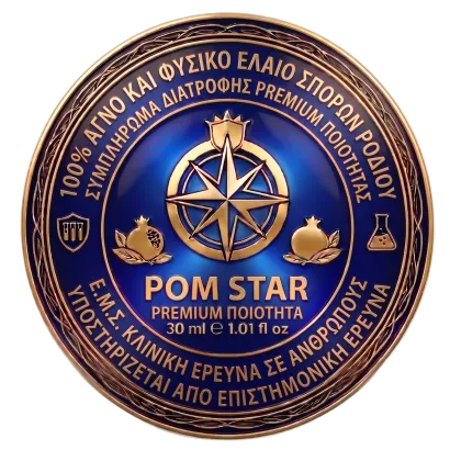 Μπλε και χρυσό κυκλικό έμβλημα του Rotary Club με τροχό πυξίδας και κείμενο «ROM STAR»