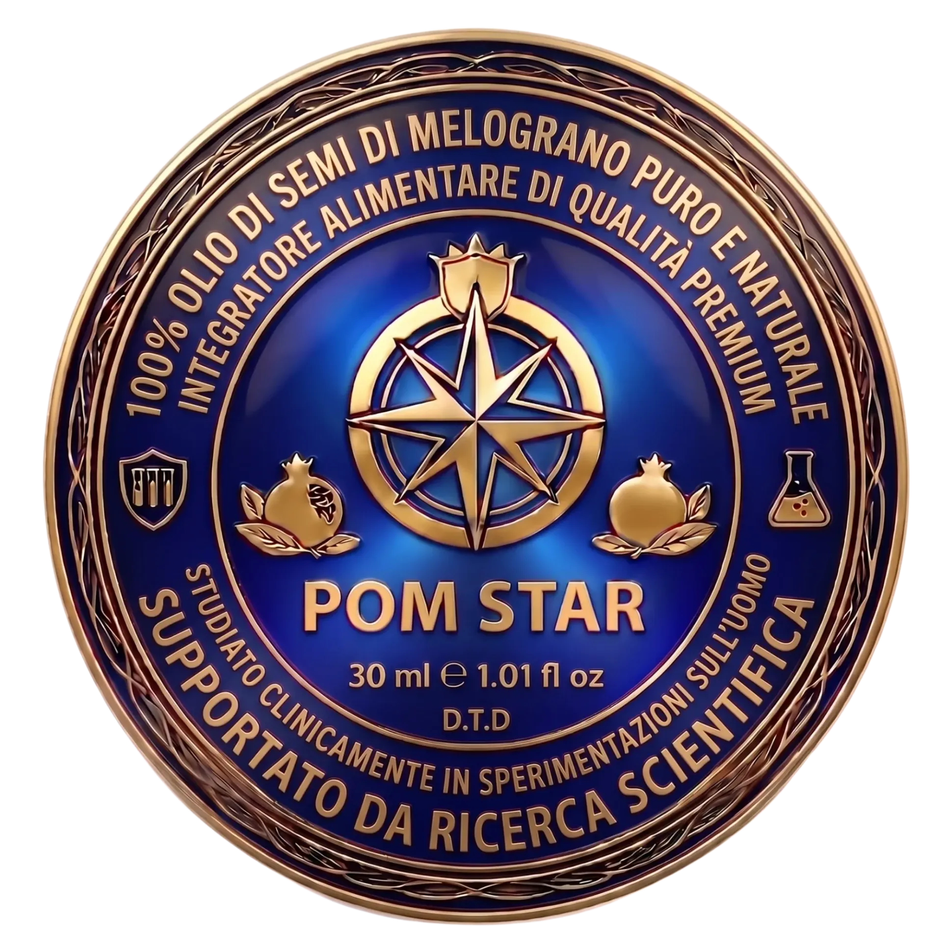 Μπλε και χρυσό κυκλικό έμβλημα του Rotary Club με τροχό πυξίδας και κείμενο «ROM STAR»