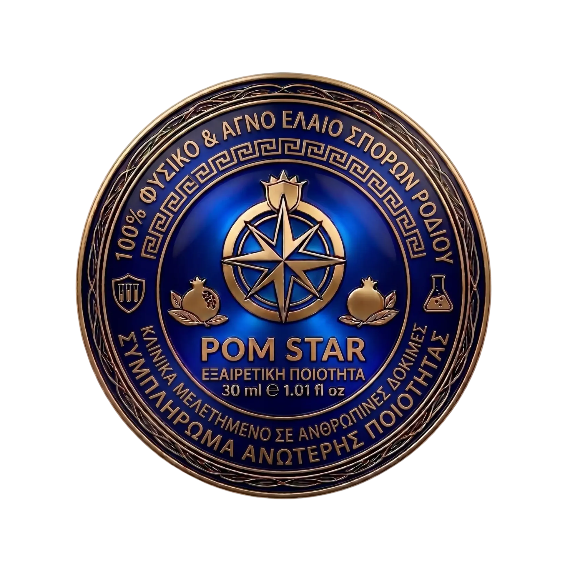 Μπλε και χρυσό κυκλικό έμβλημα του Rotary Club με τροχό πυξίδας και κείμενο «ROM STAR»