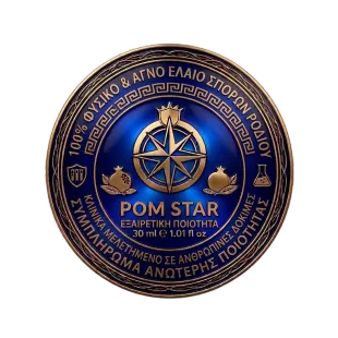 Μπλε και χρυσό κυκλικό έμβλημα του Rotary Club με τροχό πυξίδας και κείμενο «ROM STAR»