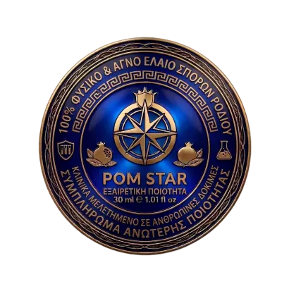 Μπλε και χρυσό κυκλικό έμβλημα του Rotary Club με τροχό πυξίδας και κείμενο «ROM STAR»