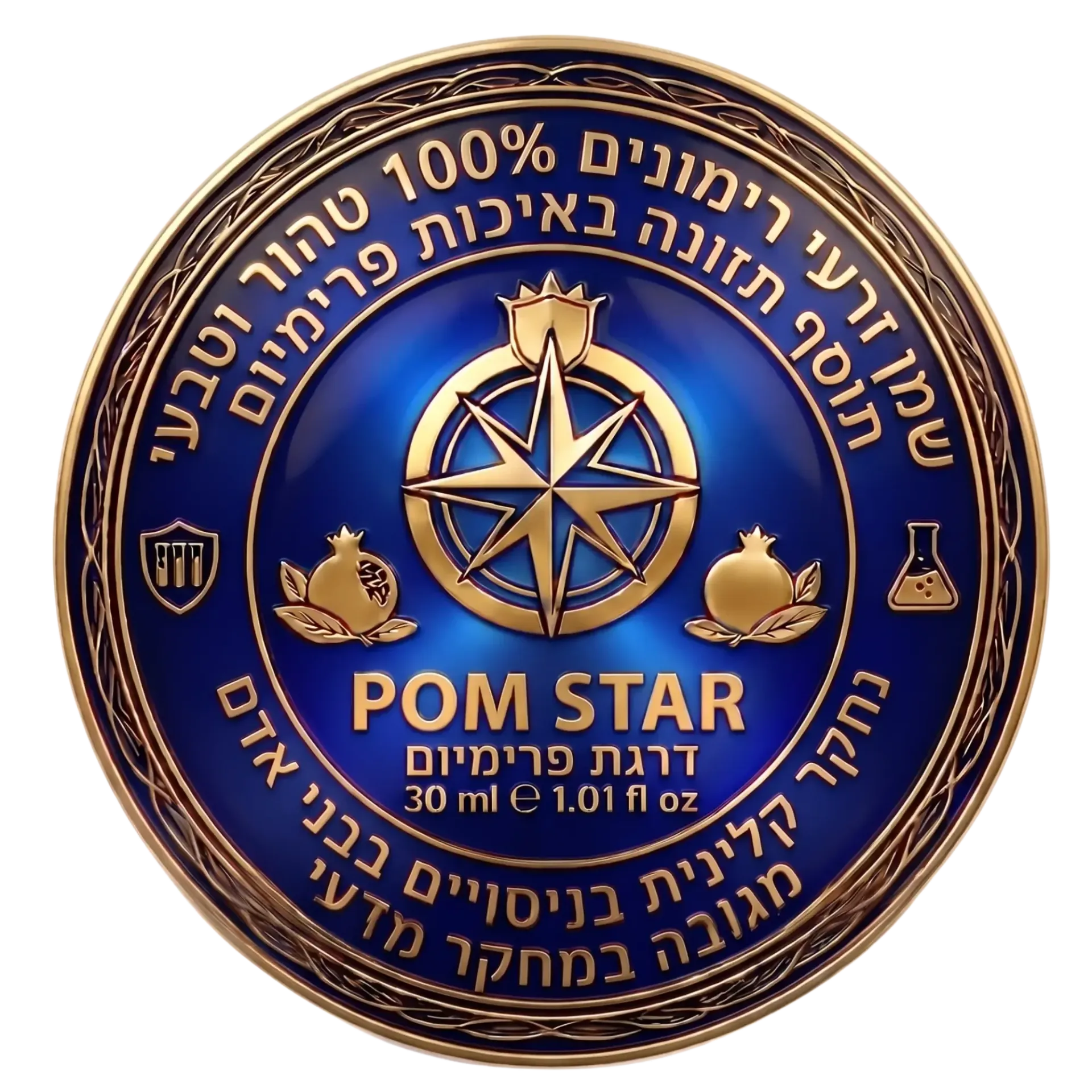 סמל עגול בכחול וזהב של מועדון רוטרי עם גלגל מצפן וכיתוב ROM STAR
