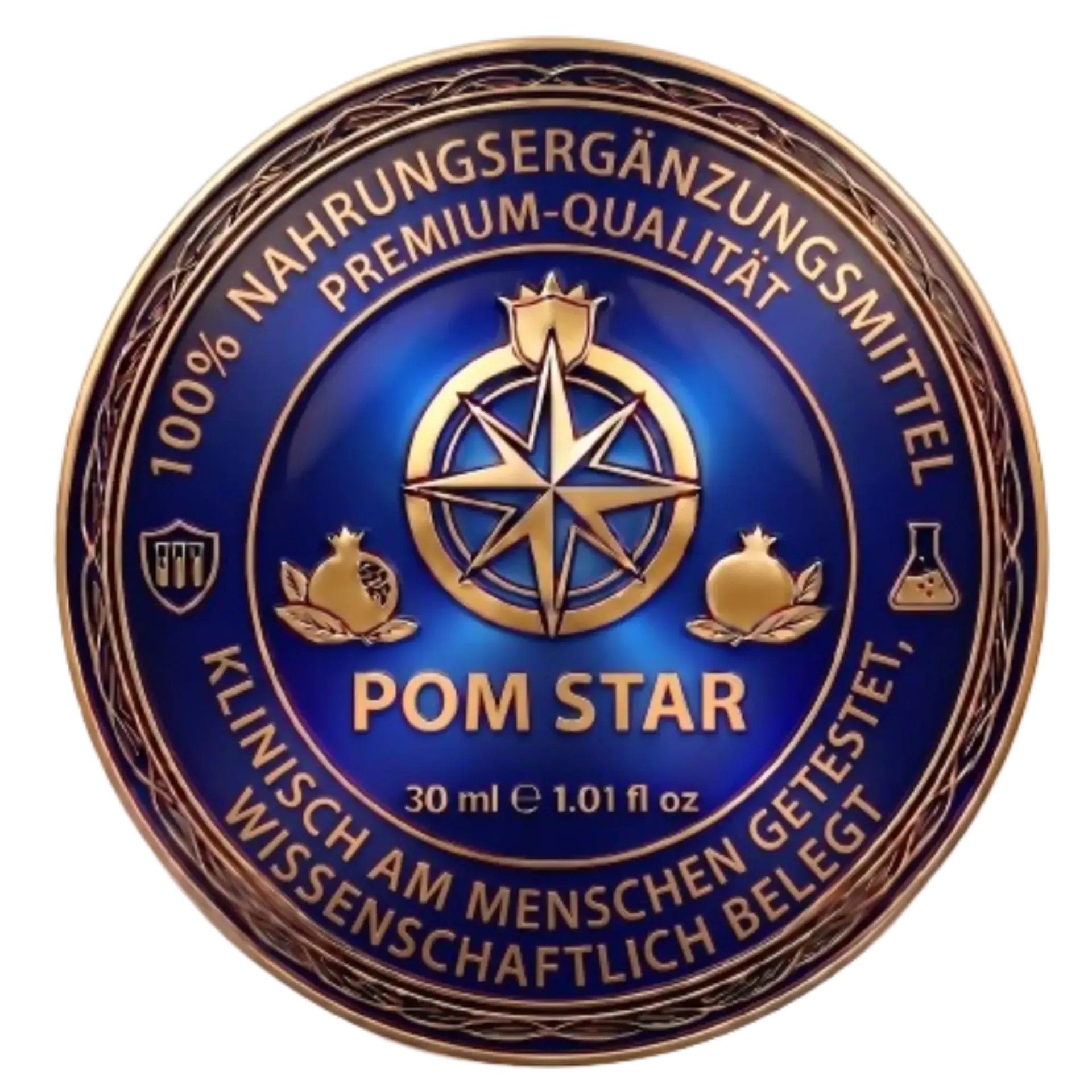 Μπλε και χρυσό κυκλικό έμβλημα του Rotary Club με τροχό πυξίδας και κείμενο «ROM STAR»