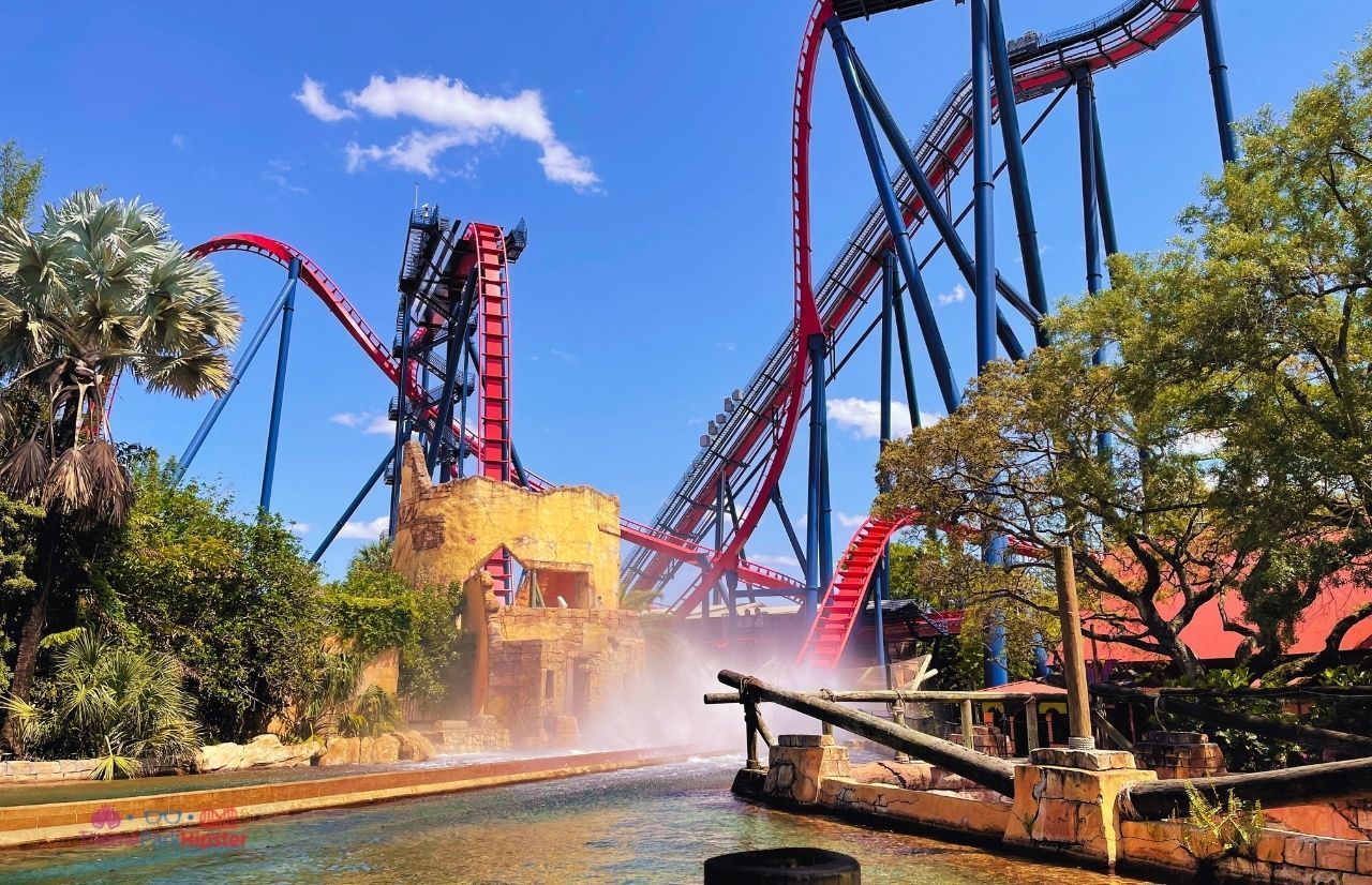 A roller coaster is going down a river at an amusement park.