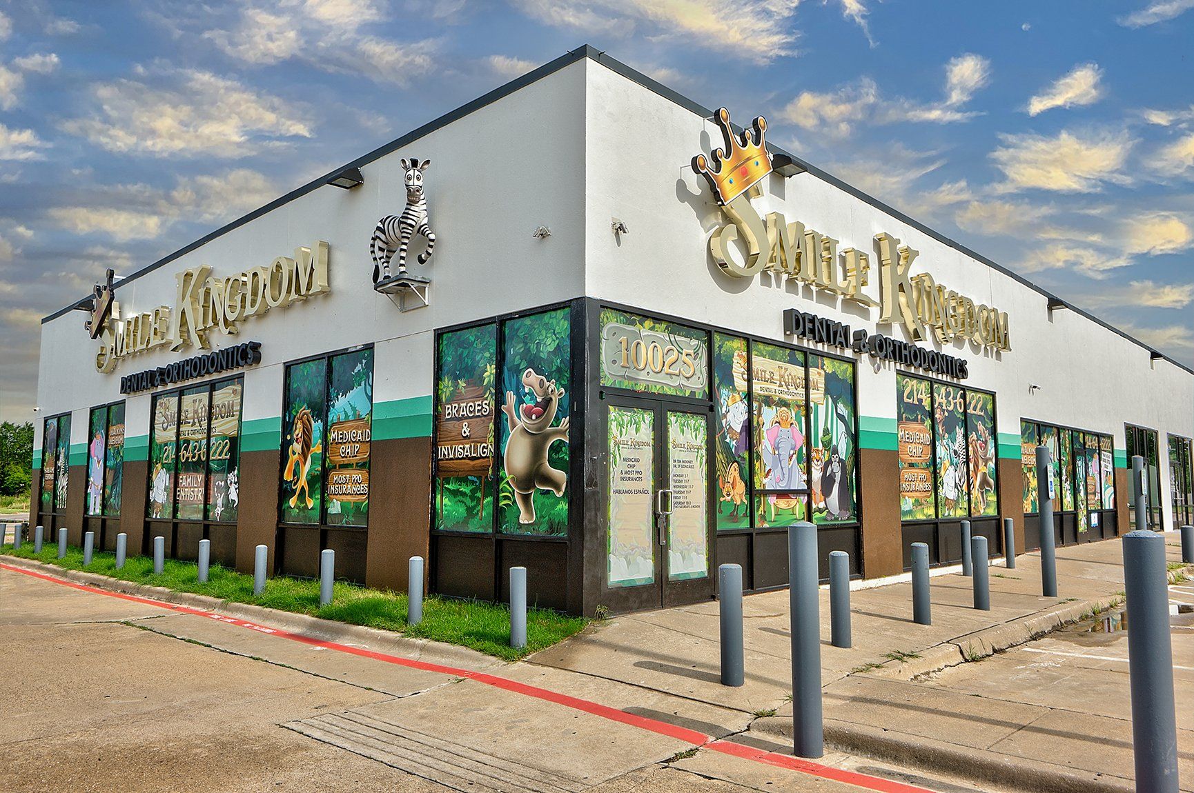 Corner storefront of a pet shop with animal murals, large windows, and a sidewalk parking area under a cloudy sky