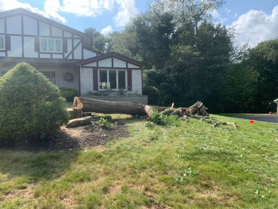 A large log is laying in the grass in front of a house.