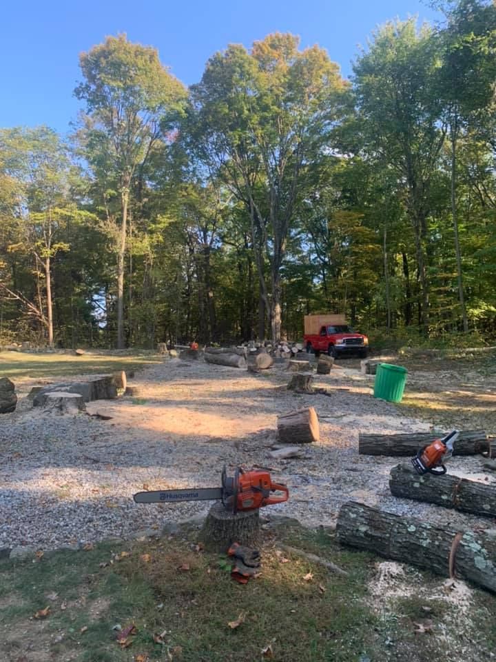 A chainsaw is sitting on a log in the middle of a forest.