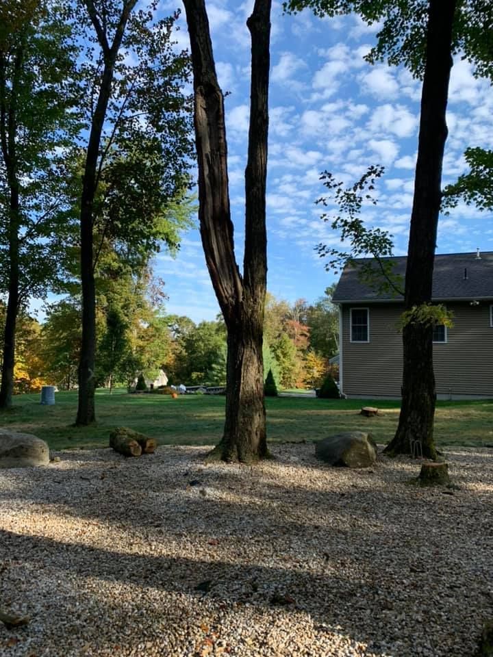 A house with a lot of trees in front of it