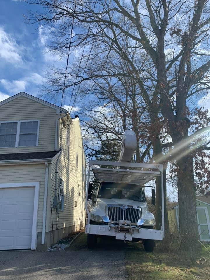 A truck is parked in front of a house next to a tree.