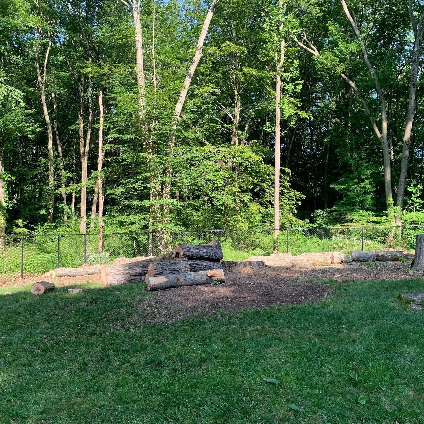A fenced in area with logs and trees in the background