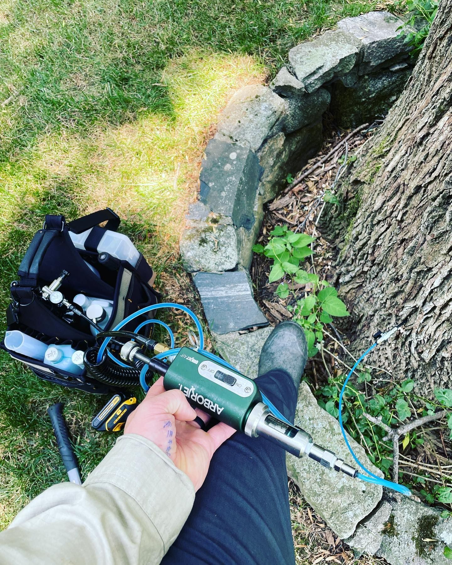 A person is holding a tool while sitting next to a tree.