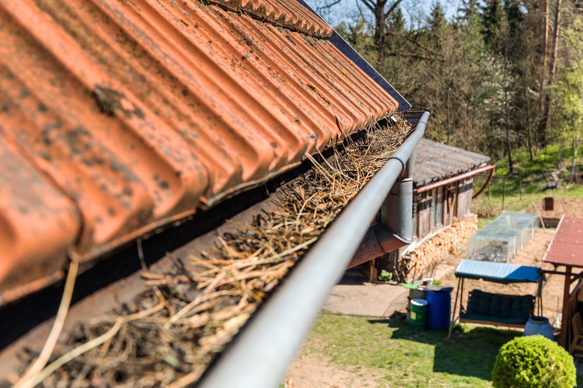 Gutter overflowing with pine needles beside a red-tiled roof on a house in a wooded yard Gutter overflowing with pine needles beside a red-tiled roof on a house in a wooded yard
