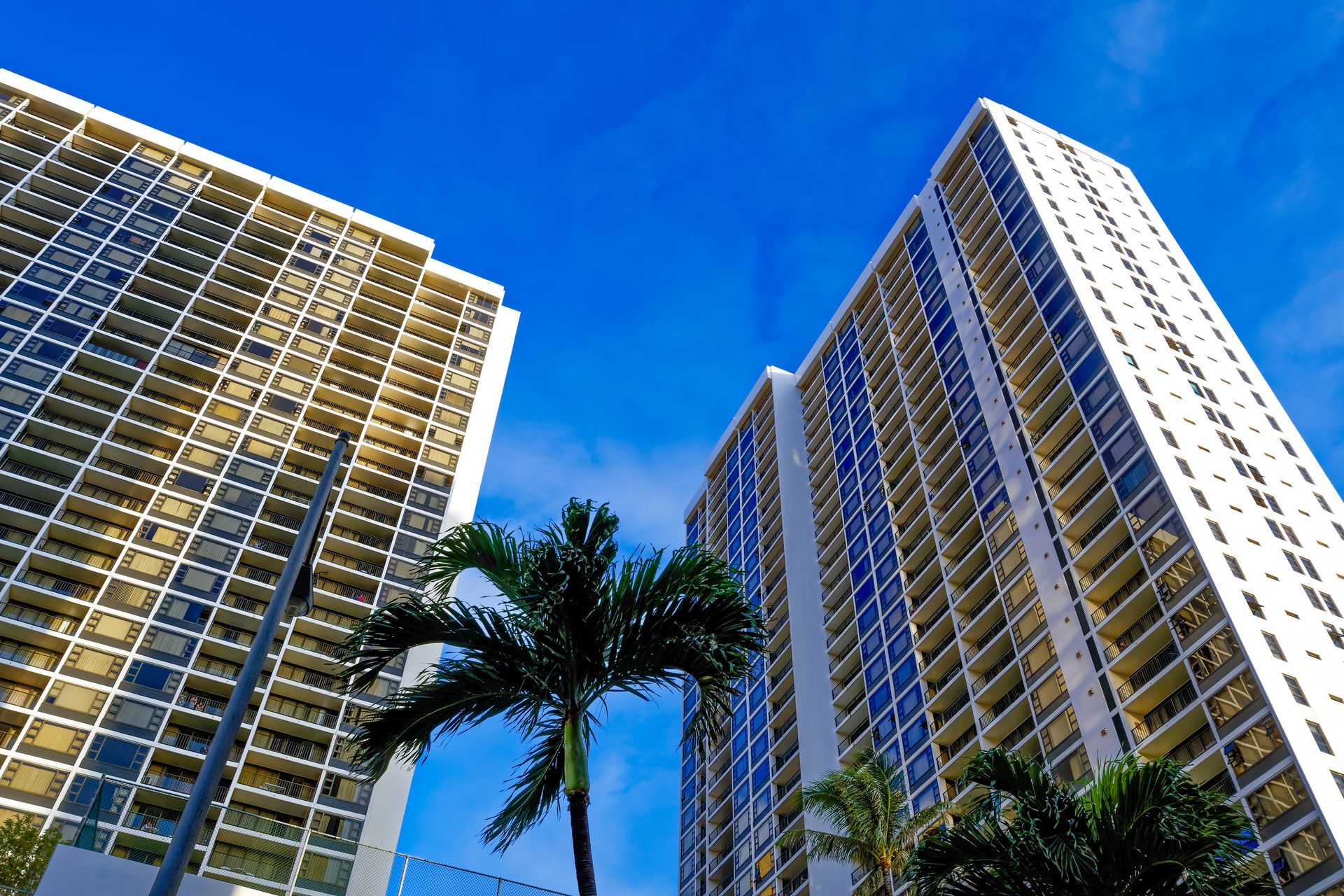 Tall modern high-rise apartment buildings with palm trees below against a bright blue sky