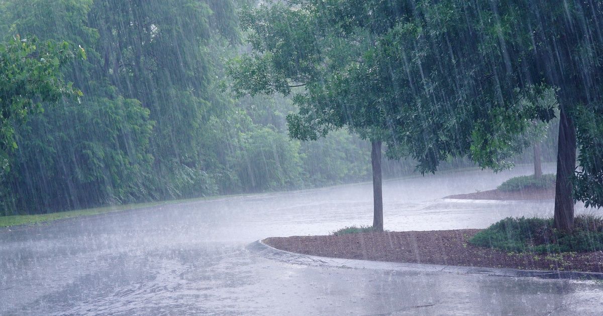 Heavy rain falls onto a residential street surrounded by trees with green leaves during a rain storm.