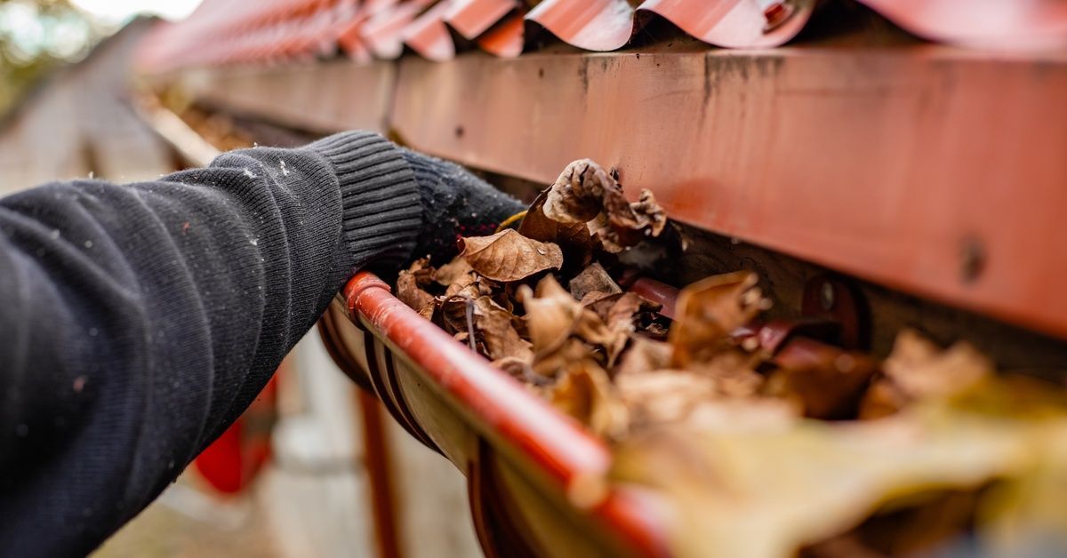 A hand wearing a black sweater and glove pushes dead leaves out of an orange gutter during the day.