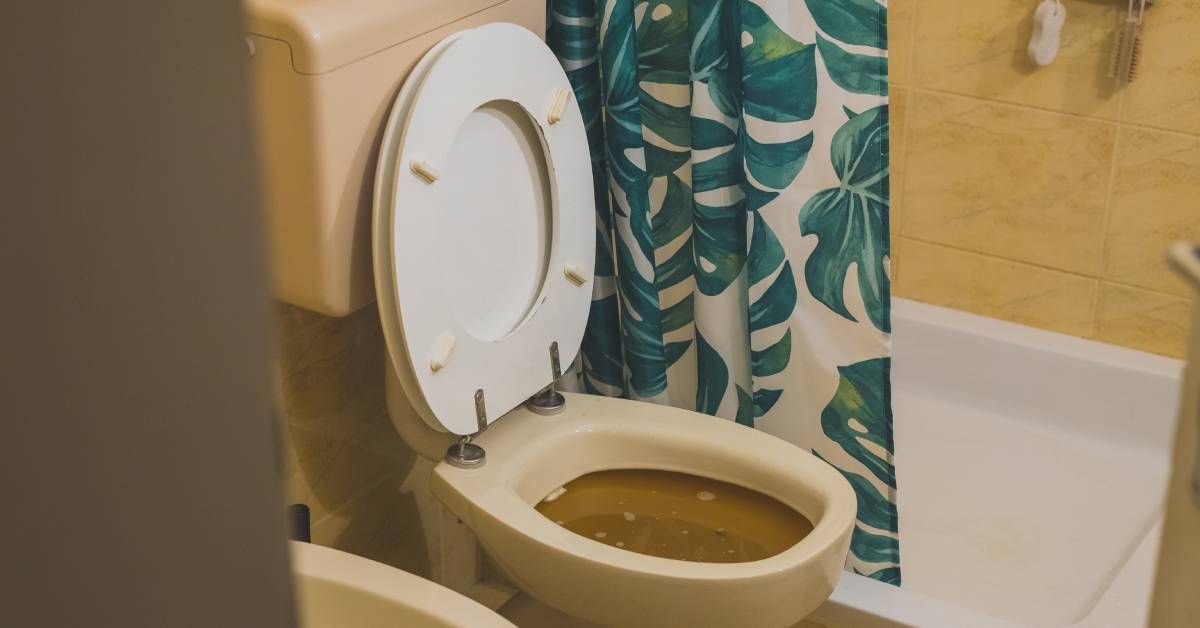 A toilet in a small bathroom space filled to the rim with dark, brown water. A shower curtain is tucked into the shower behind.