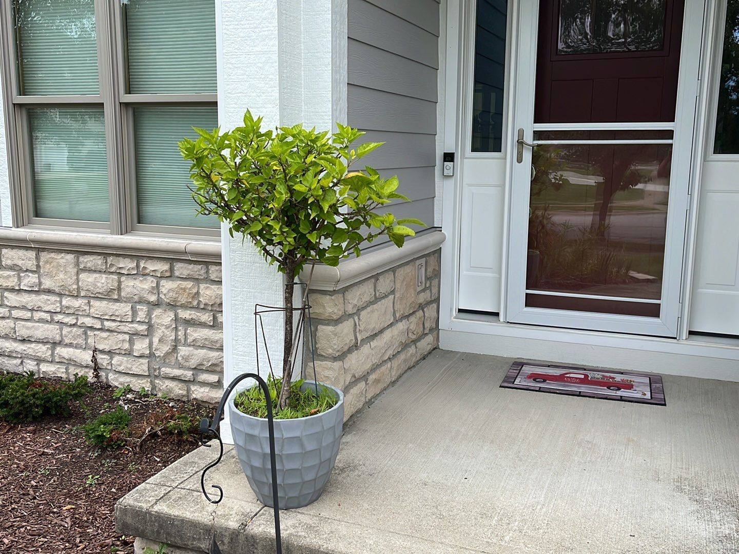 Potted tree by a front porch with stone siding and a white door