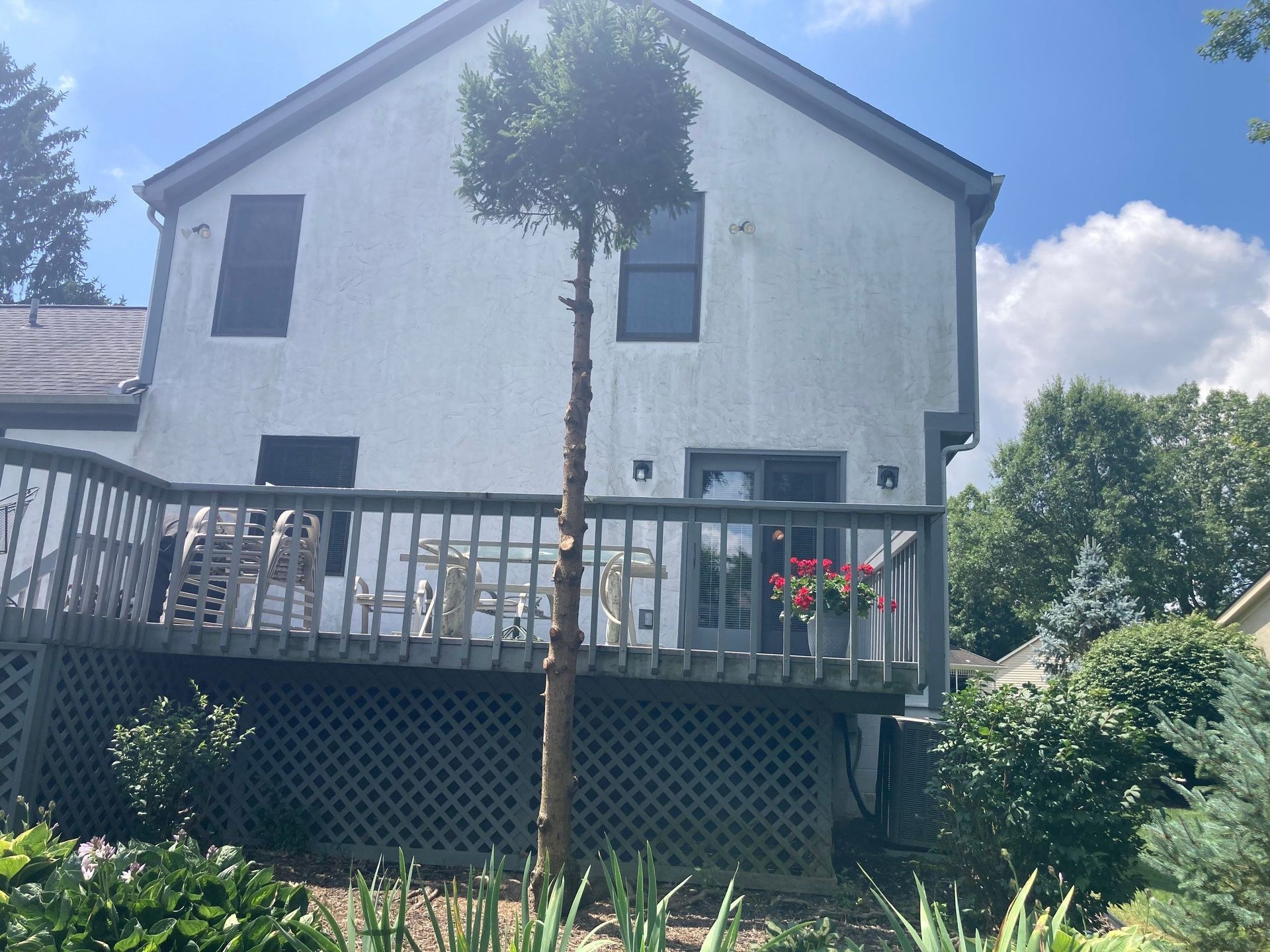 White two-story house with a wooden deck, lattice skirting, and a young tree in the yard under a blue sky